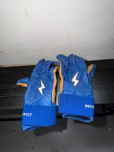 Medium Batting Gloves (Used)
