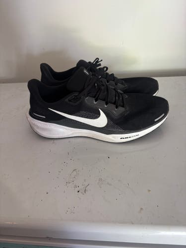 Men's Size 13.0 (W 14.0) Adult Nike Pegasus 40 Shoes (Used)