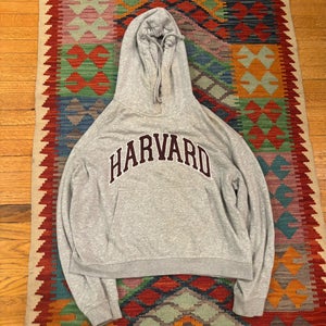 Harvard Gray Men's Small / Medium hoodie  (Used) with slight sweat stains on collar