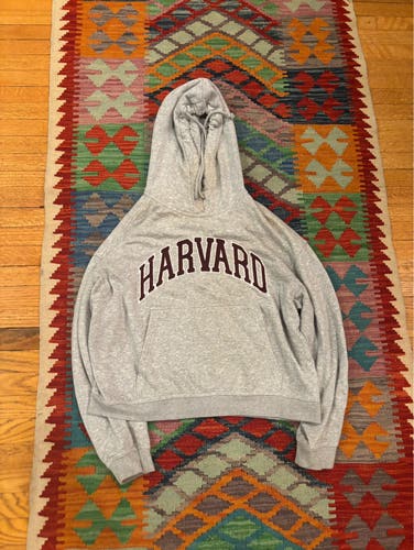 Harvard Gray Men's Small / Medium hoodie  (Used) with slight sweat stains on collar