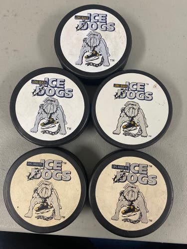 Los Angeles/Long Beach Ice Dogs puck