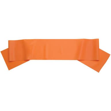 Body Sport Exercise Bands 11725-bspbds06org
