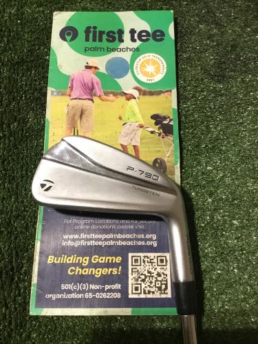 Taylormade P-790 Forged 4 Iron Steel Shaft (38.25)