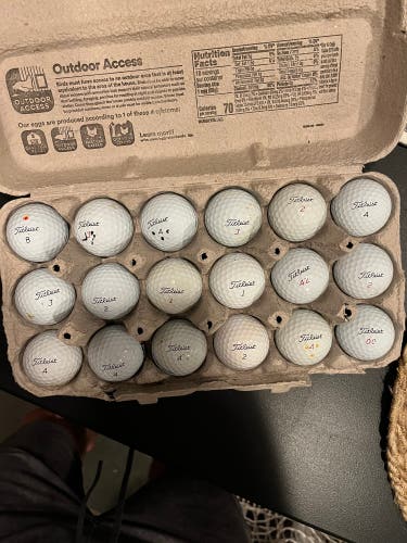 Titleist Pro V1 Balls 18 Pack (Used)