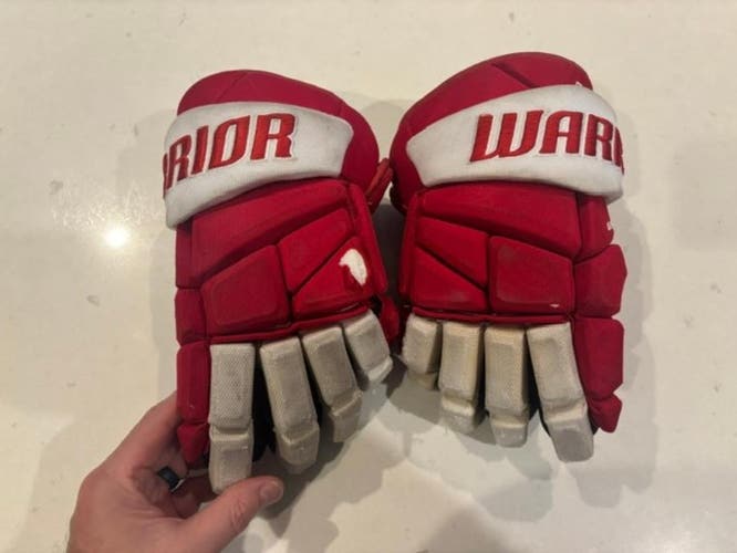 Detroit Bell Tire Michigan AAA Hockey Warrior Alpha Pro Gloves SR 14