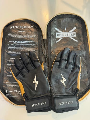 Batting Gloves (Used)