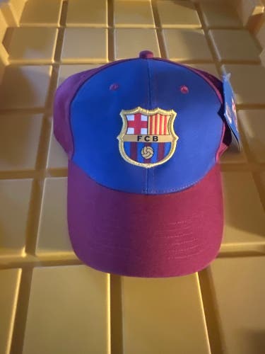 Blue Adult Unisex Large/Extra Large Hat (New)