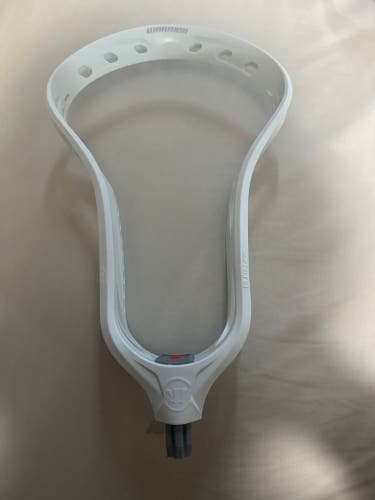 Warrior Burn FO Head (New)