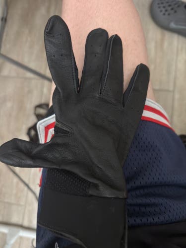 XL Air Jordan Batting Gloves (New)