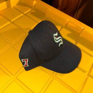 Blue Adult Unisex One Size Fits All Hat (New)