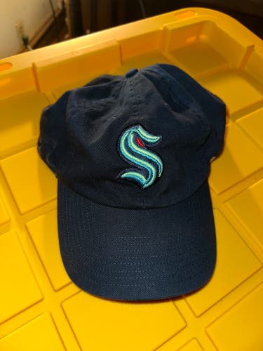 Blue Adult Unisex One Size Fits All 47 Brand Hat (Used)