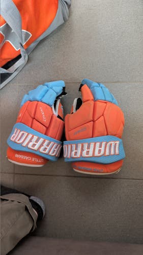 Warrior Covert Pro Plus Gloves 14" (Used)