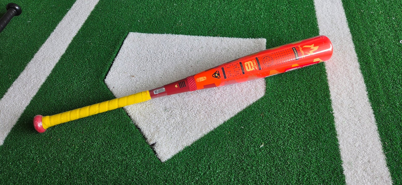 2025 Easton Hype Fire Composite USSSA Certified Bat (-8) 21 oz 29" (New)