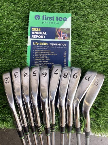 Peerless Palmer Blades Iron Set 2-PW, SW With Stiff Steel Shafts