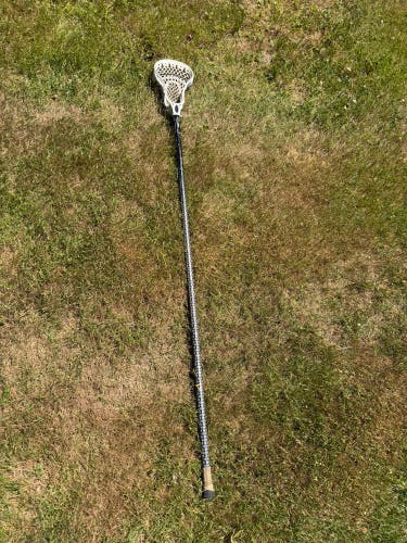 Lacrosse D Pole set up