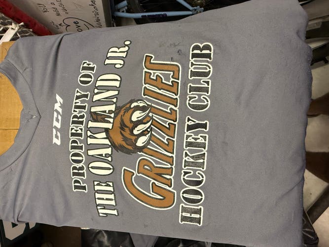 Gray Goalie Cut Men's CCM Jersey (Used)