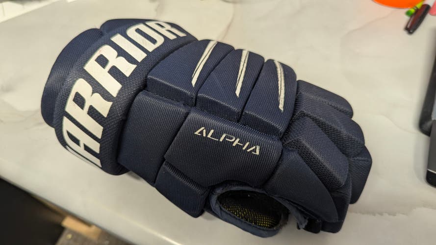 Warrior Alpha QX5 Gloves 14" (Used)