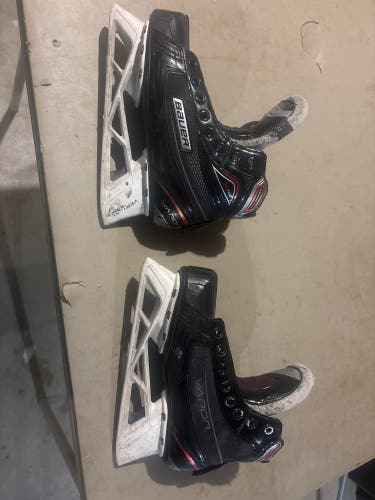 Bauer Hockey Goalie Skates Regular Width Size 5.5 (Used)