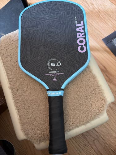 Blue Pickleball Paddle (Used)