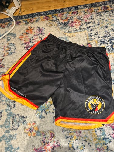 Deustchland heritage men’s shorts Germany