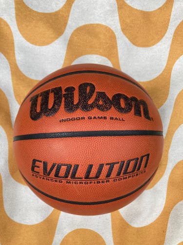 Men's Wilson Basketball (Used)