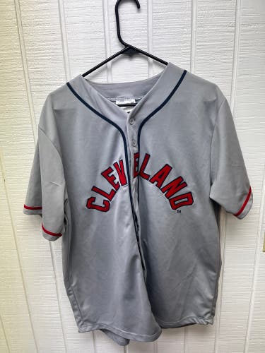 Cleveland Indians Guardians Promo Jersey Size XL Gray No Name/# MLB Baseball Fan