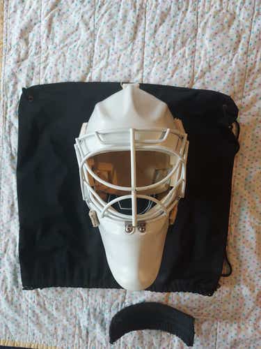 Protechsport Custom Goalie Mask (Used, Approximately Size Medium, made 2017)
