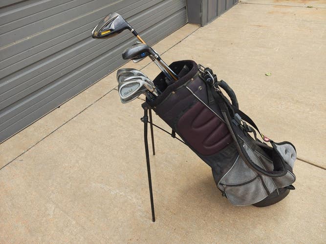 Cobra Snake Eyes 14 Piece Complete Regular Flex Golf Set Wilson Stand Bag