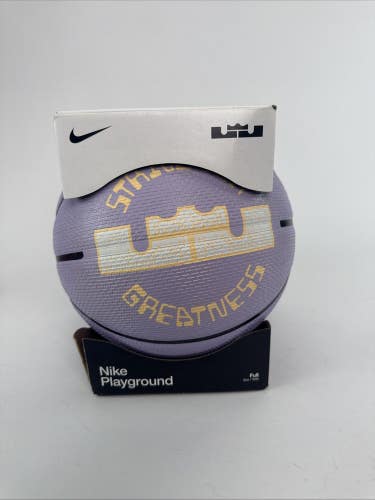 Nike LeBron James Playground Basketball, Purple Full Size