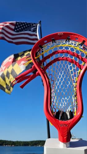 STX Fresh Stringing Stallion 1K Head (New)