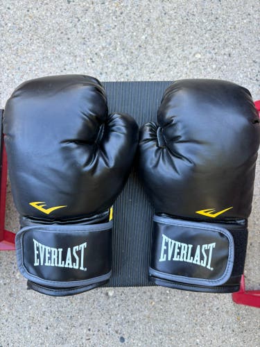 Everlast (Used)