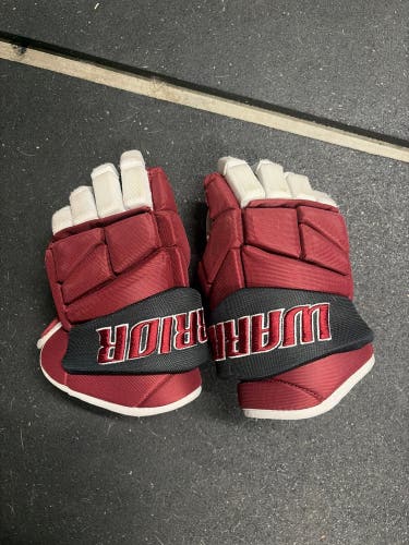 Warrior Alpha Gloves 13" (Used)