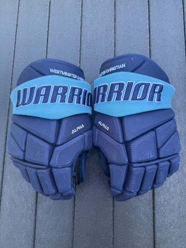 Warrior Alpha Gloves 14" (Used)