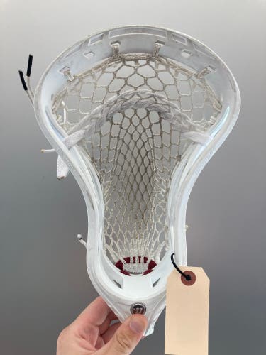 Used Warrior Evo QX2-D Strung Head