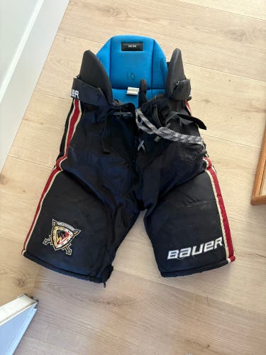 Senior Medium Bauer Nexus Hockey Pants Pro Stock (Used)