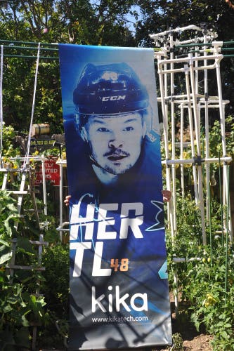 San Jose Sharks Street hung Tomas Hertl Banner