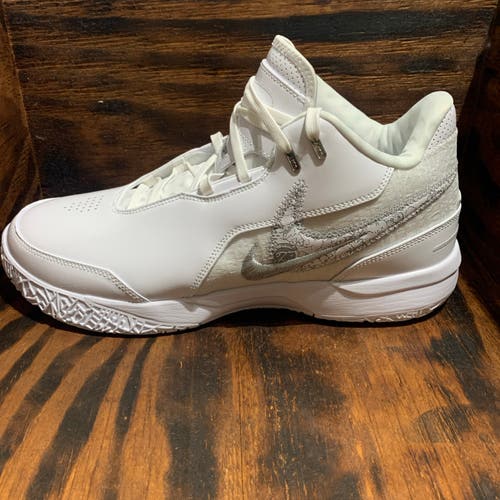 NIKE ZOOM LeBron NXXT Gen AMPD Men's White/LT Smoke Grey FJ1566-102 size 13