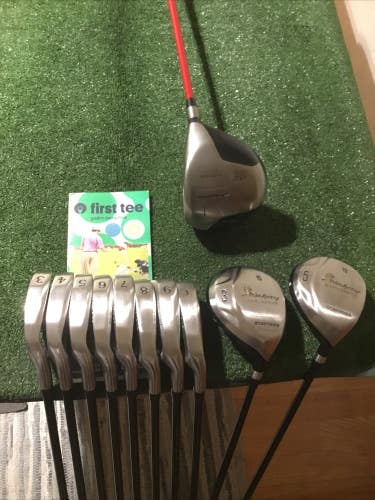Palm Springs Gravity Balance Full Set Driver, 3W, 5W, 3-PW Regular UST Graphite