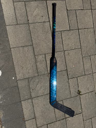 Senior CCM Vizion Regular Goalie Stick 25" Paddle (New)