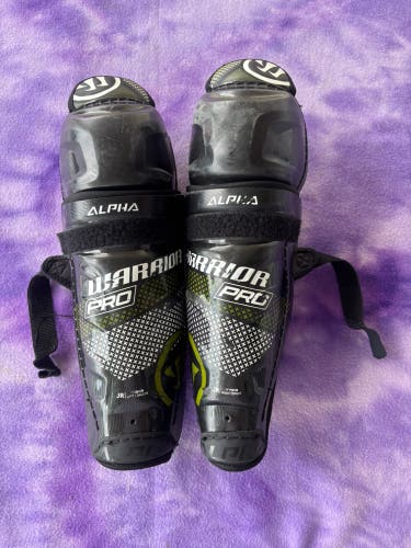 Junior Warrior Alpha DX Pro Shin Pads 11" (Used)