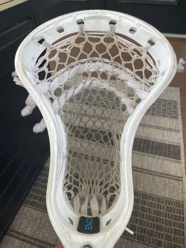 Warrior EVO QX2-O Head (Used)