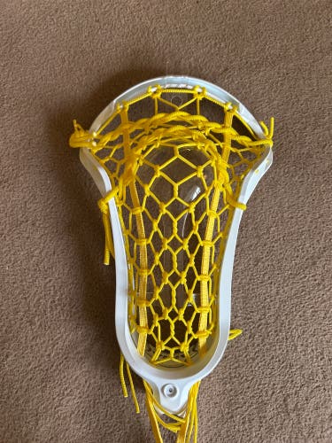 STX Aria Pro Head (New)