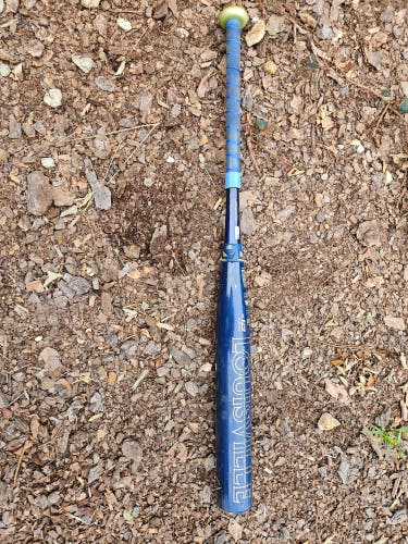2025 Louisville Slugger LXT Composite Bat (-10) 21 oz 31" (Used)