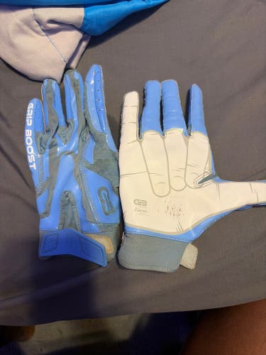 Large Adult Gloves (Used)