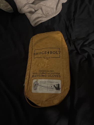 Large Batting Gloves (Used)