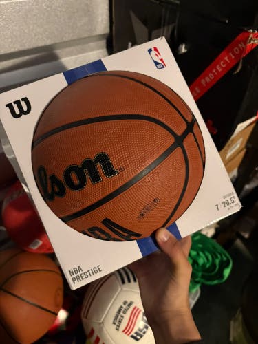 Wilson Basketball (New)