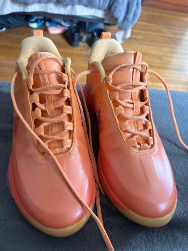 Men's Size M 10.5 (W 11.5) Nike Shoes (Used)