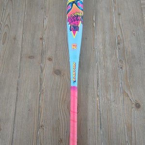 2026 Easton Dub Composite USSSA Certified Bat (-10) 17 oz 27" (Used)