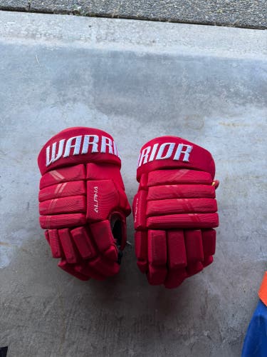 Warrior Alpha Gloves 13" (Used)