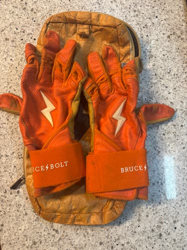 Bruce Bolt Premium Pro Long Cuff Batting Gloves | Small